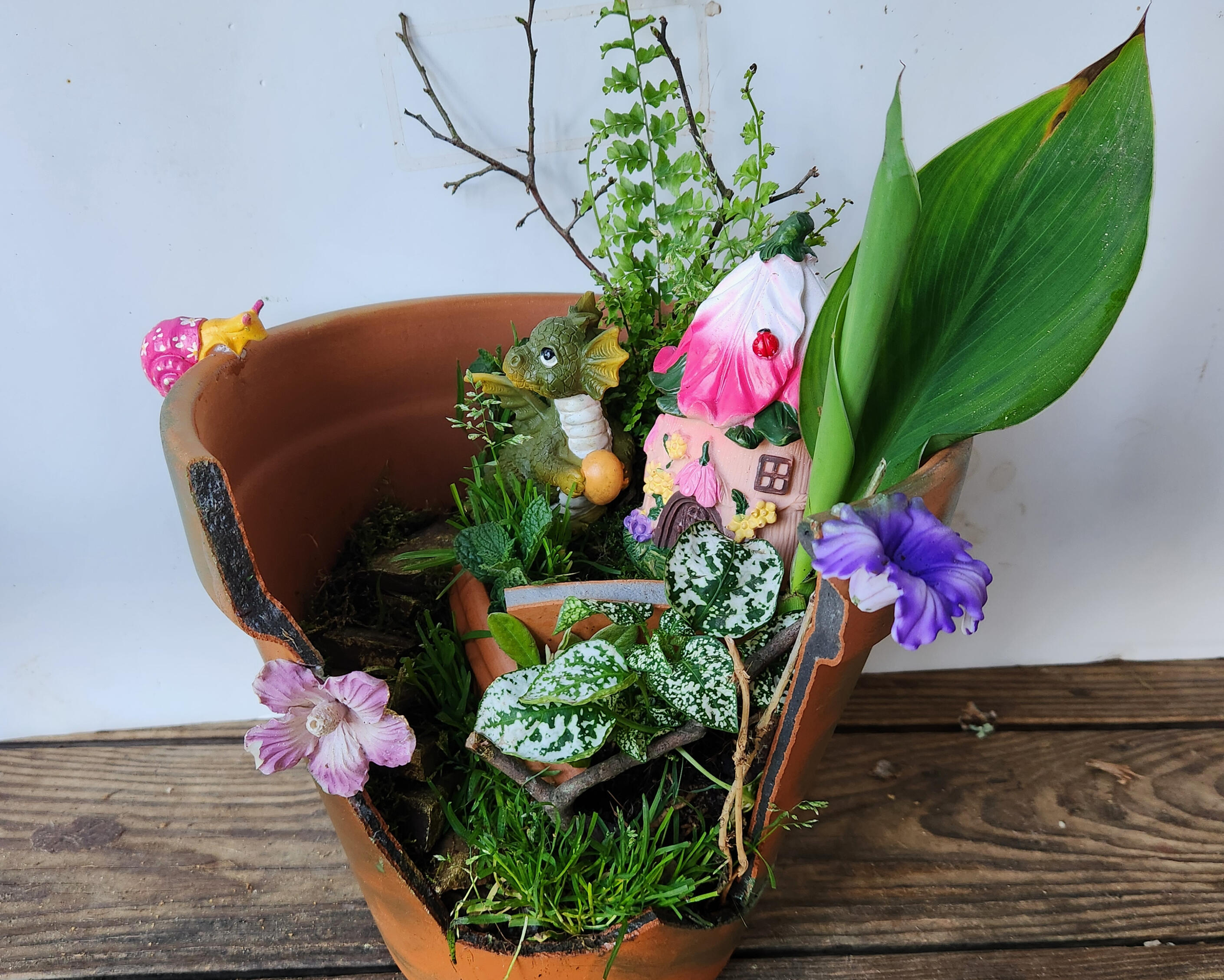 Clay pot broken and redesigned into a fairy garden home for a baby dragon. Live moss, ferns and plants add to the vibrance, created by Sharm's Green Thumb plant nursery logo - Longview TX